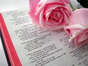 Pink Rose Psalms - cover Sleeping Psalms