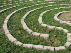 10-10--13 Labyrinth leaf trail