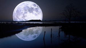 beautiful-moon